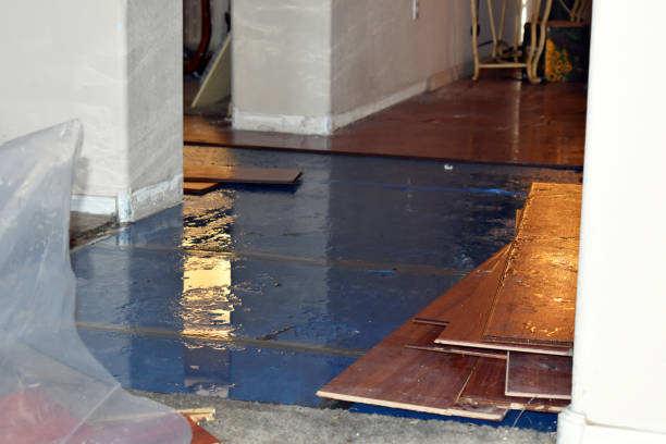 Professional Basement Flood Cleanup technician working in Suches, GA